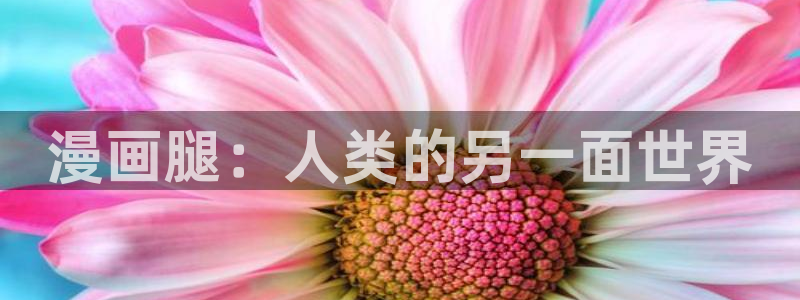 香蕉漫画韩漫网站